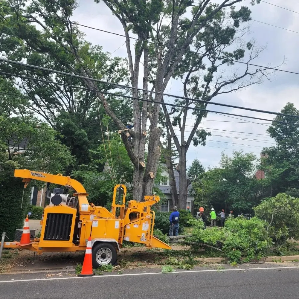 Reliable yard maintenance in Manassas, VA - Wd Giampa Lawns & Landscape