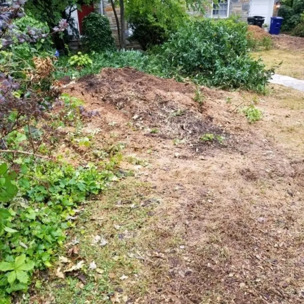 Professional yard maintenance for homes across Manassas, VA - Wd Giampa Lawns & Landscape