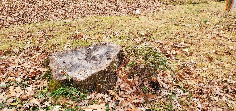 Top-rated outdoor landscaping in Manassas, VA by Wd Giampa Lawns & Landscape