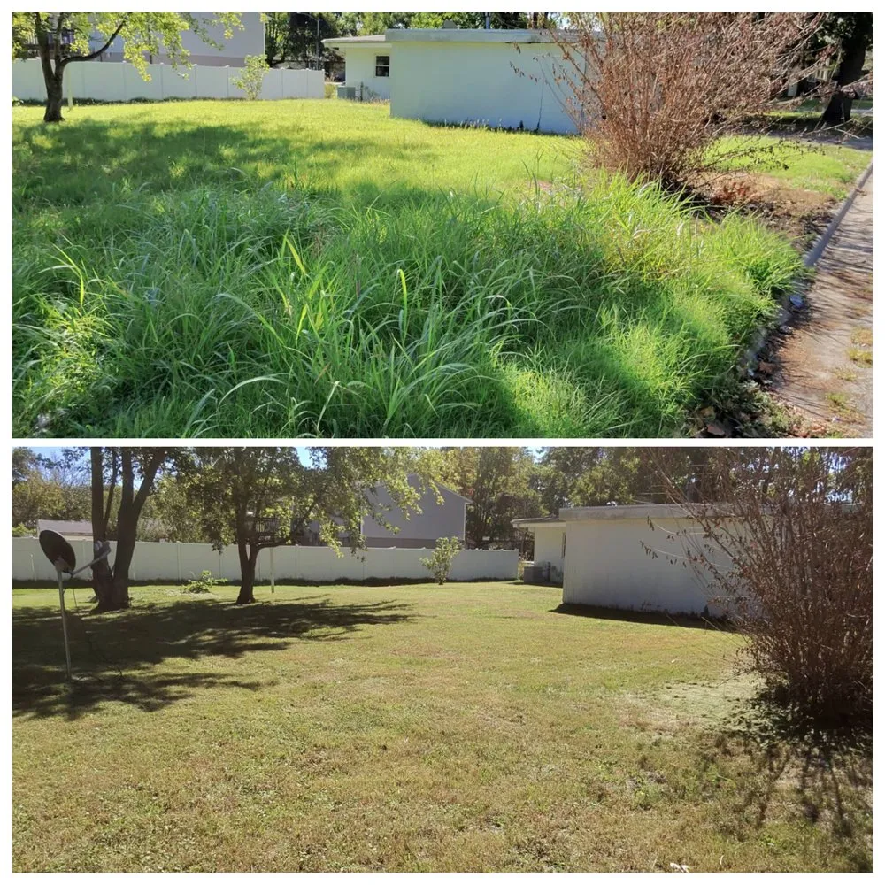 Expert landscape design for beautiful yards in Belleville, IL by WD Lawn Care