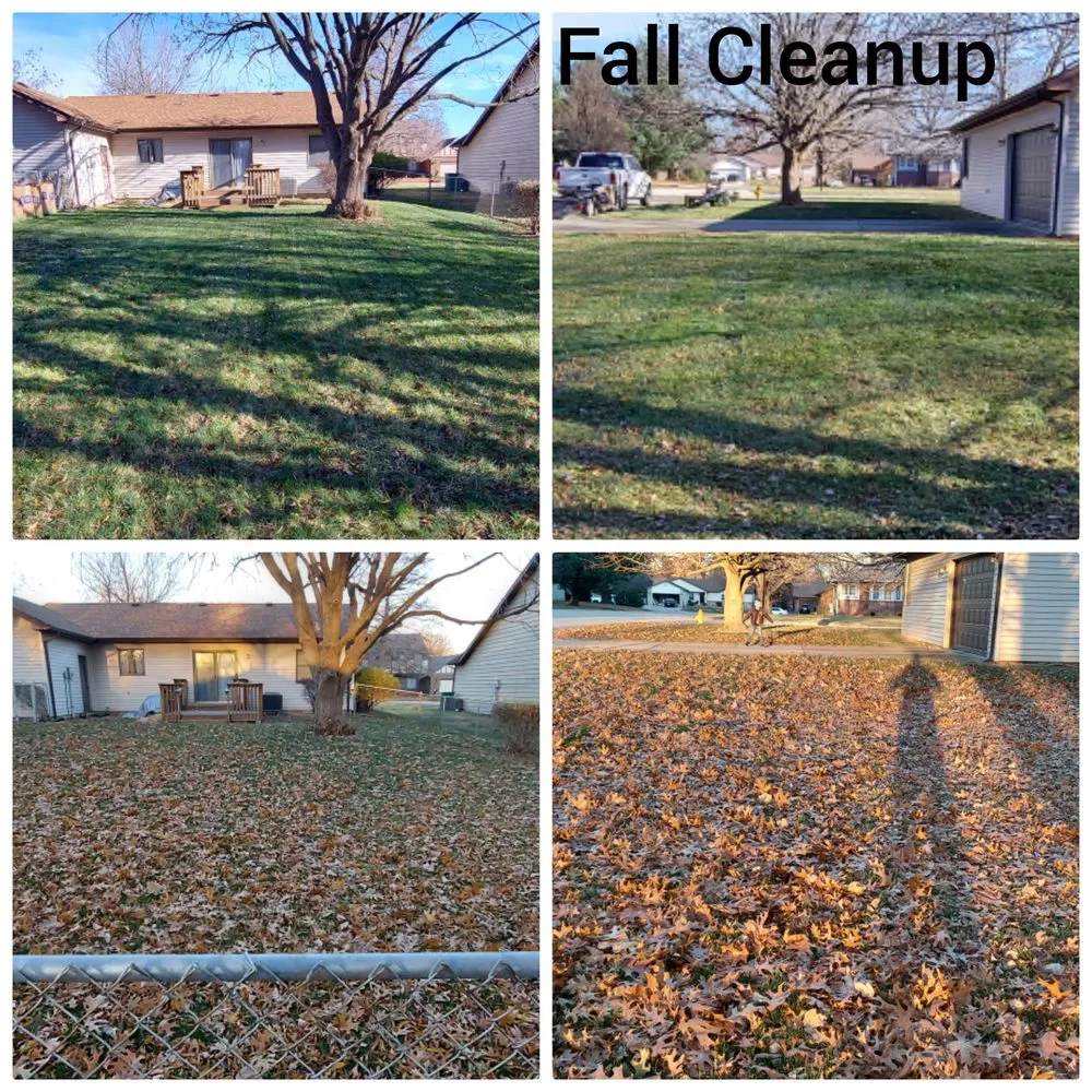 Reliable lawn care service in Belleville, IL - WD Lawn Care