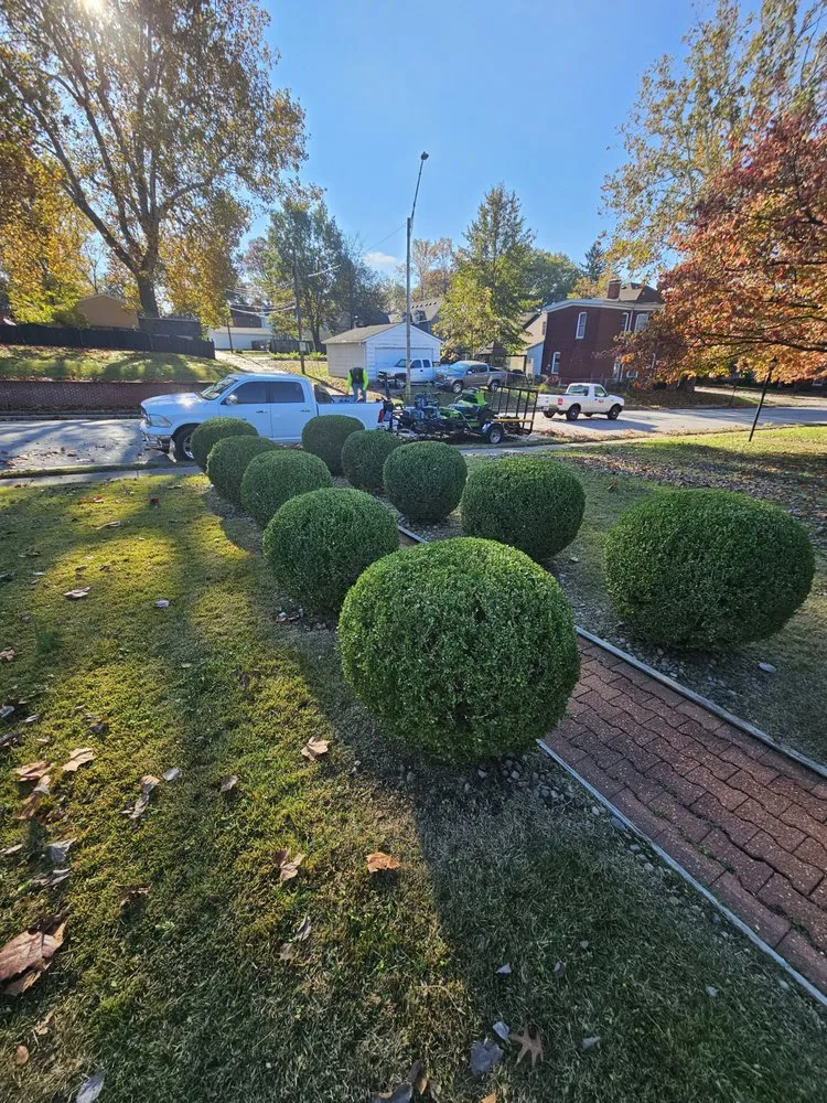 Trusted landscaping services for outdoor upgrades in Belleville, IL by WD Lawn Care