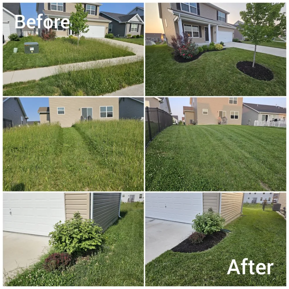 Custom landscaping services for beautiful yards across Belleville, IL - WD Lawn Care