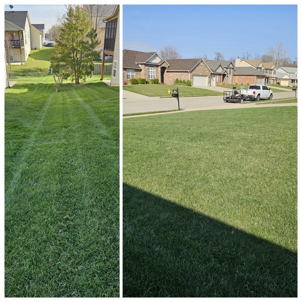Local lawn care service experts serving Belleville, IL - WD Lawn Care