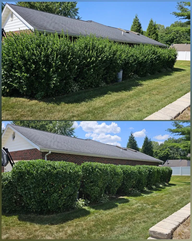 Expert landscape design for homes across Belleville, IL - WD Lawn Care