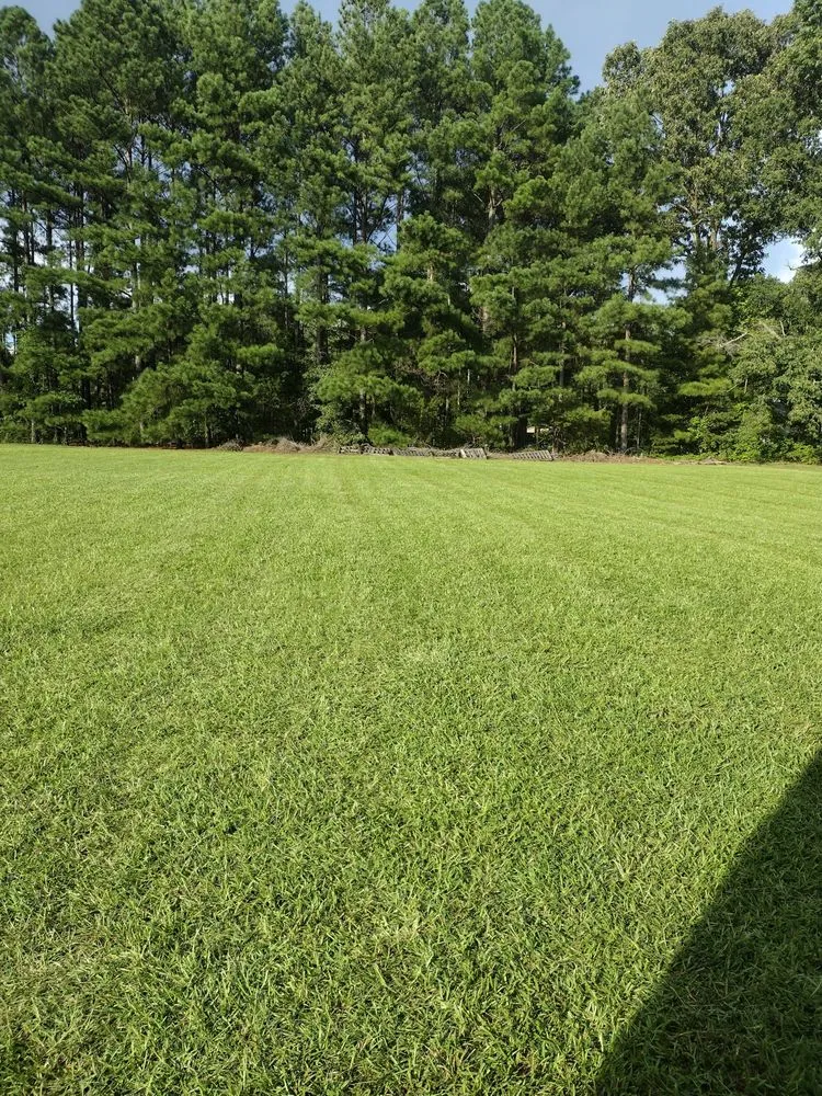 Top-rated residential landscaping in Mint Hill, NC - WD Lawn Care
