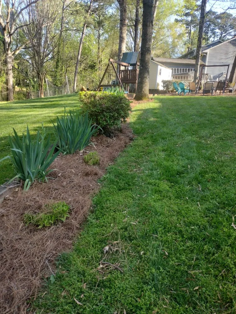 Reliable lawn mowing service for year-round maintenance in Mint Hill, NC by WD Lawn Care