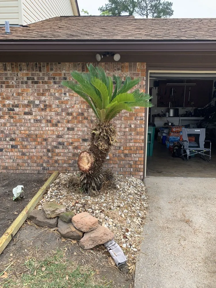 Reliable landscape installation in Pascagoula, MS by WD Lawn Care