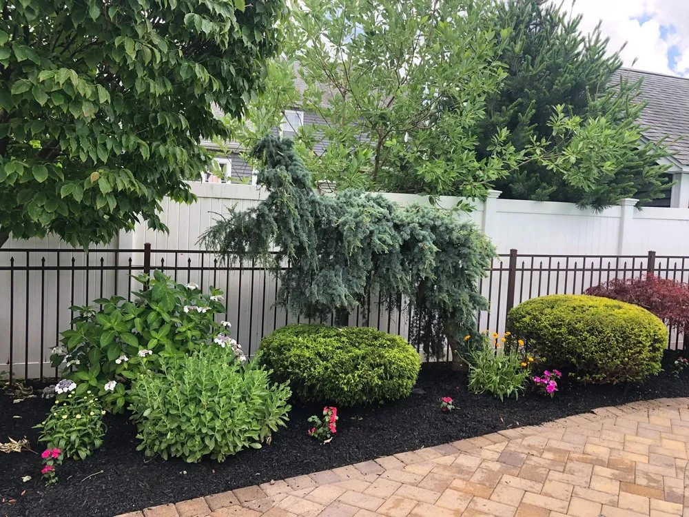 Professional lawn care service in Carlstadt, NJ - WD Lawn Service