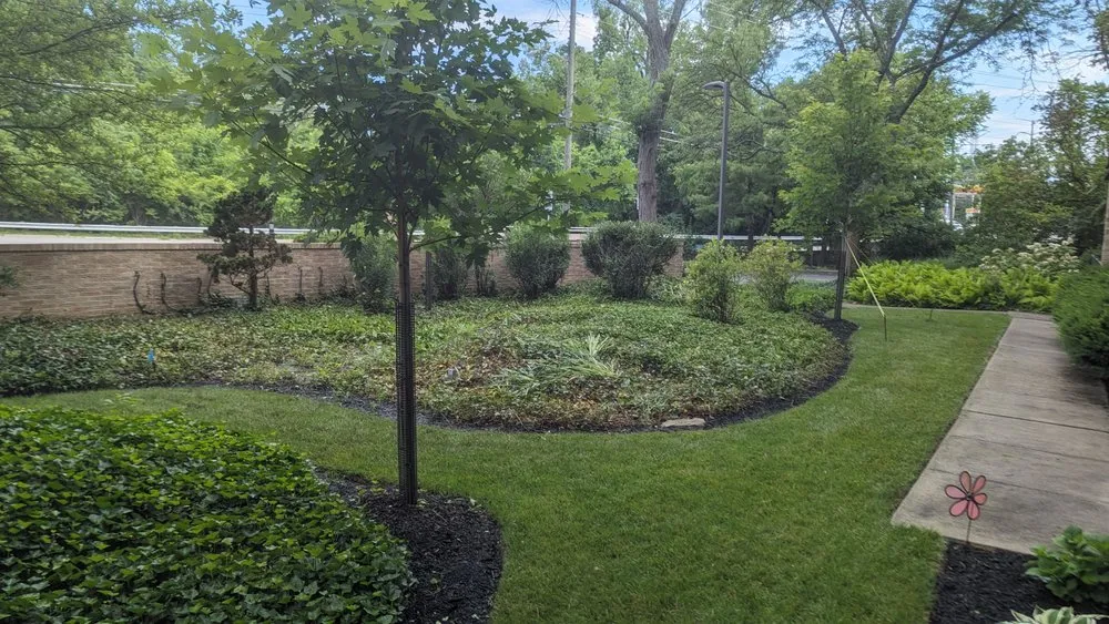 Affordable landscape installation in Dayton, KY by WD lawncare