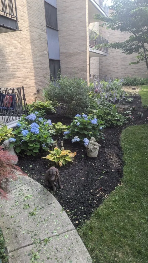 Custom yard cleanup service for residential properties across Dayton, KY - WD lawncare