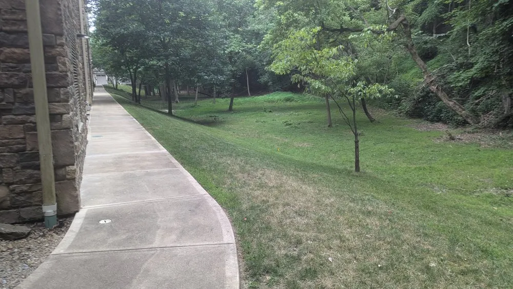 Professional yard cleanup service for year-round maintenance across Dayton, KY - WD lawncare