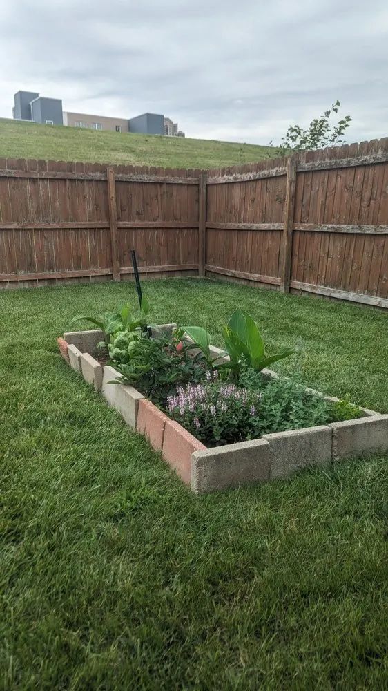 Reliable lawn care service for year-round maintenance across Dayton, KY - WD lawncare