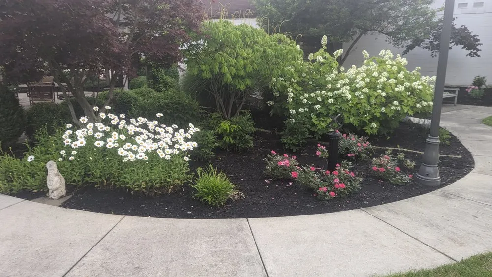 Professional landscape design in Dayton, KY - WD lawncare