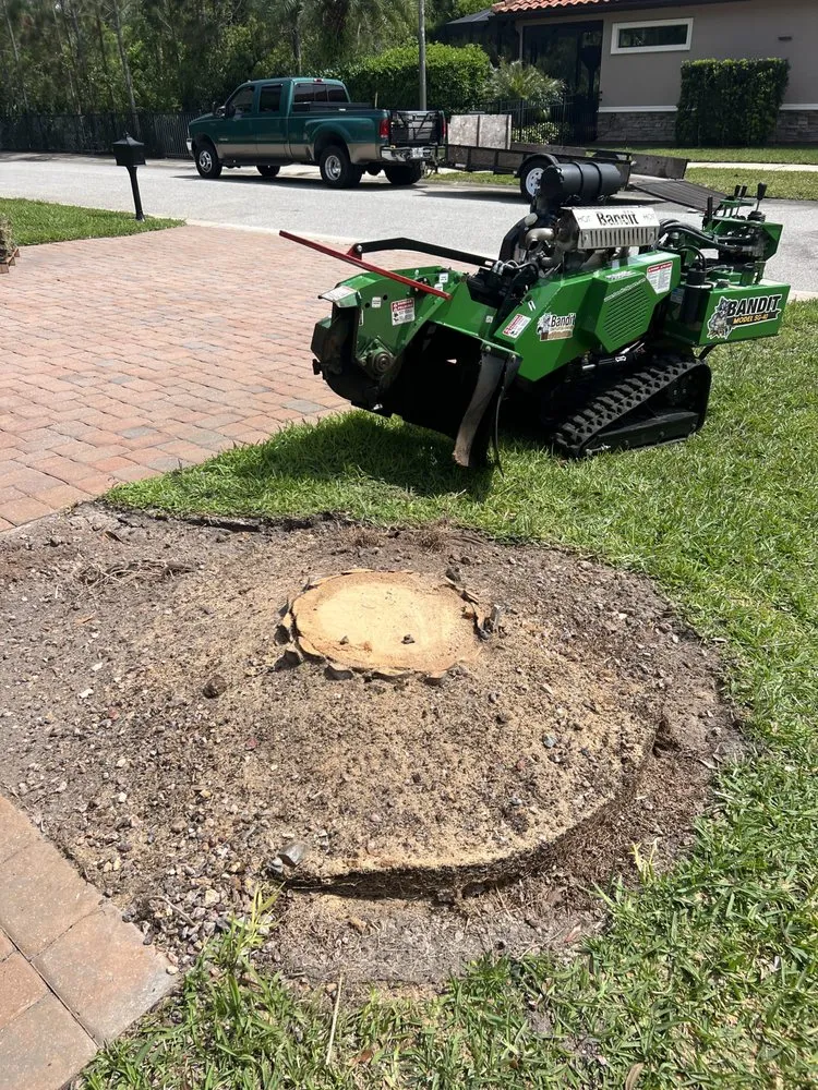 Expert yard maintenance for beautiful yards across Daytona Beach, FL - WD Warren