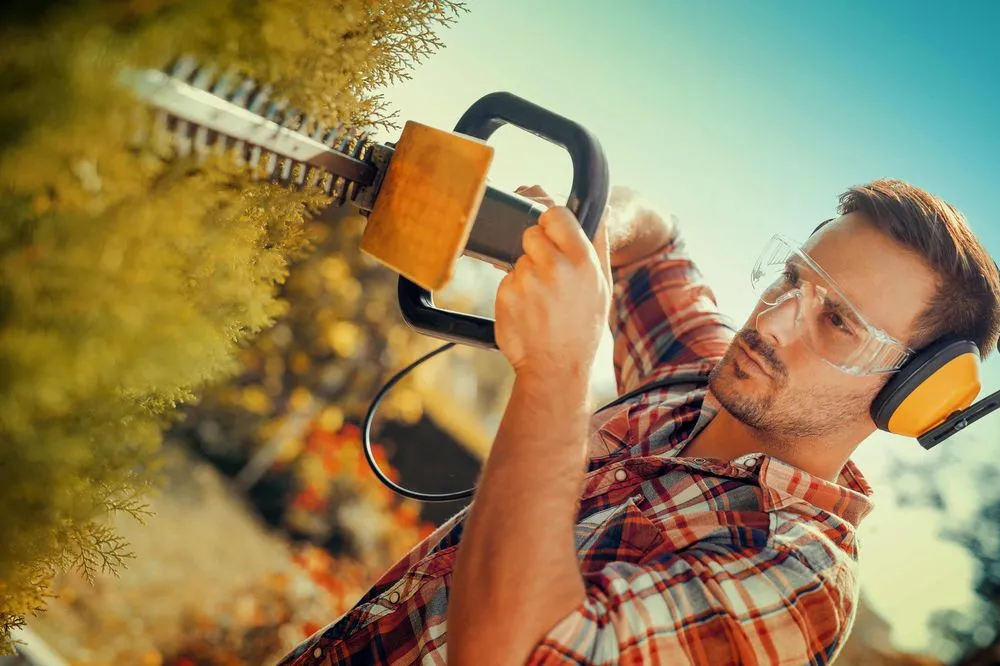 Top-rated landscaping services for year-round maintenance in Glen Burnie, MD by WDC Lawn Care