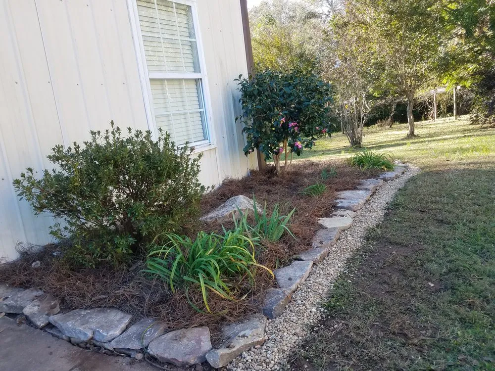 Expert lawn care service for beautiful yards in Talking Rock, GA by WDG Landscapes