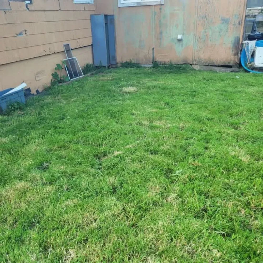 Expert yard cleanup service in Aberdeen, WA by WDH Mowing