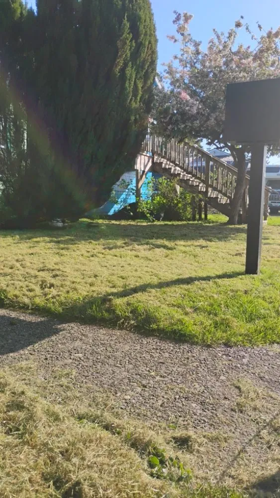 Affordable landscape installation for homes across Aberdeen, WA - WDH Mowing