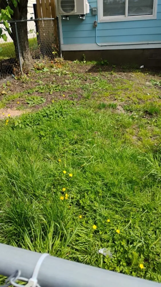 Local lawn mowing service for residential properties in Aberdeen, WA by WDH Mowing