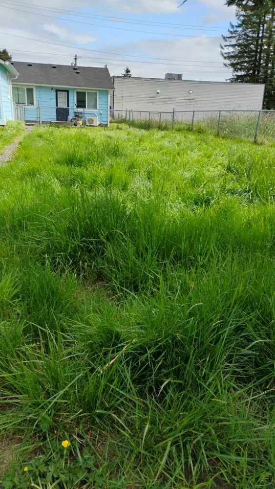 Trusted yard maintenance in Aberdeen, WA by WDH Mowing