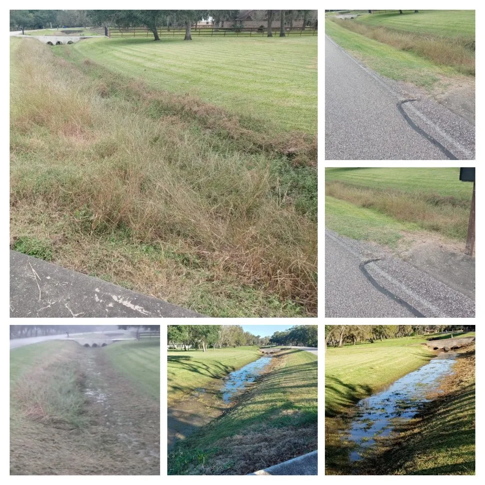 Trusted yard cleanup service for beautiful yards in Freeport, TX by We Are Pooh