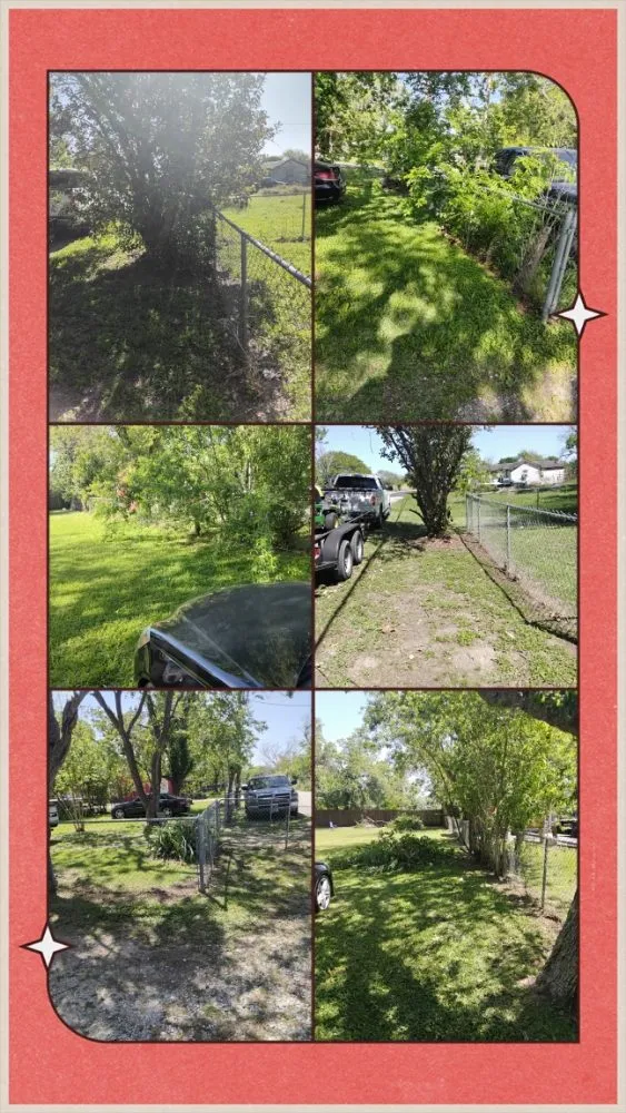 Reliable residential landscaping experts serving Freeport, TX - We Are Pooh