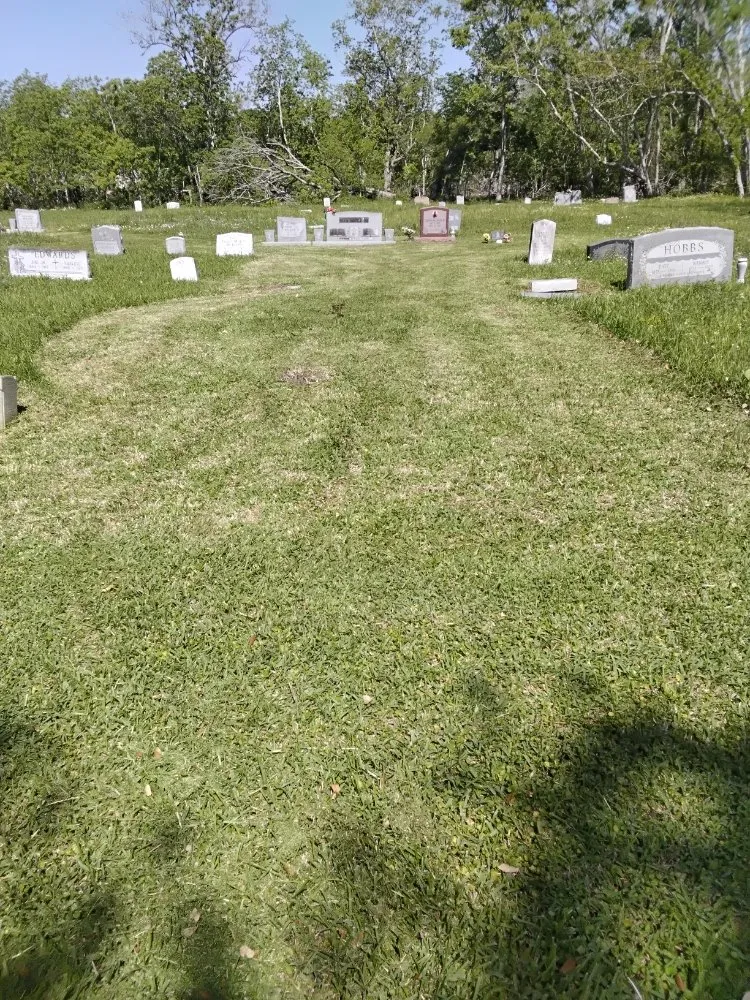 Trusted landscape installation in Freeport, TX by We Are Pooh