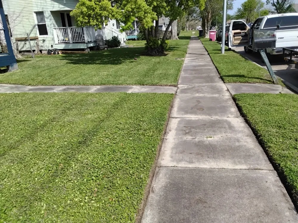 Local landscape installation for residential properties across Freeport, TX - We Are Pooh