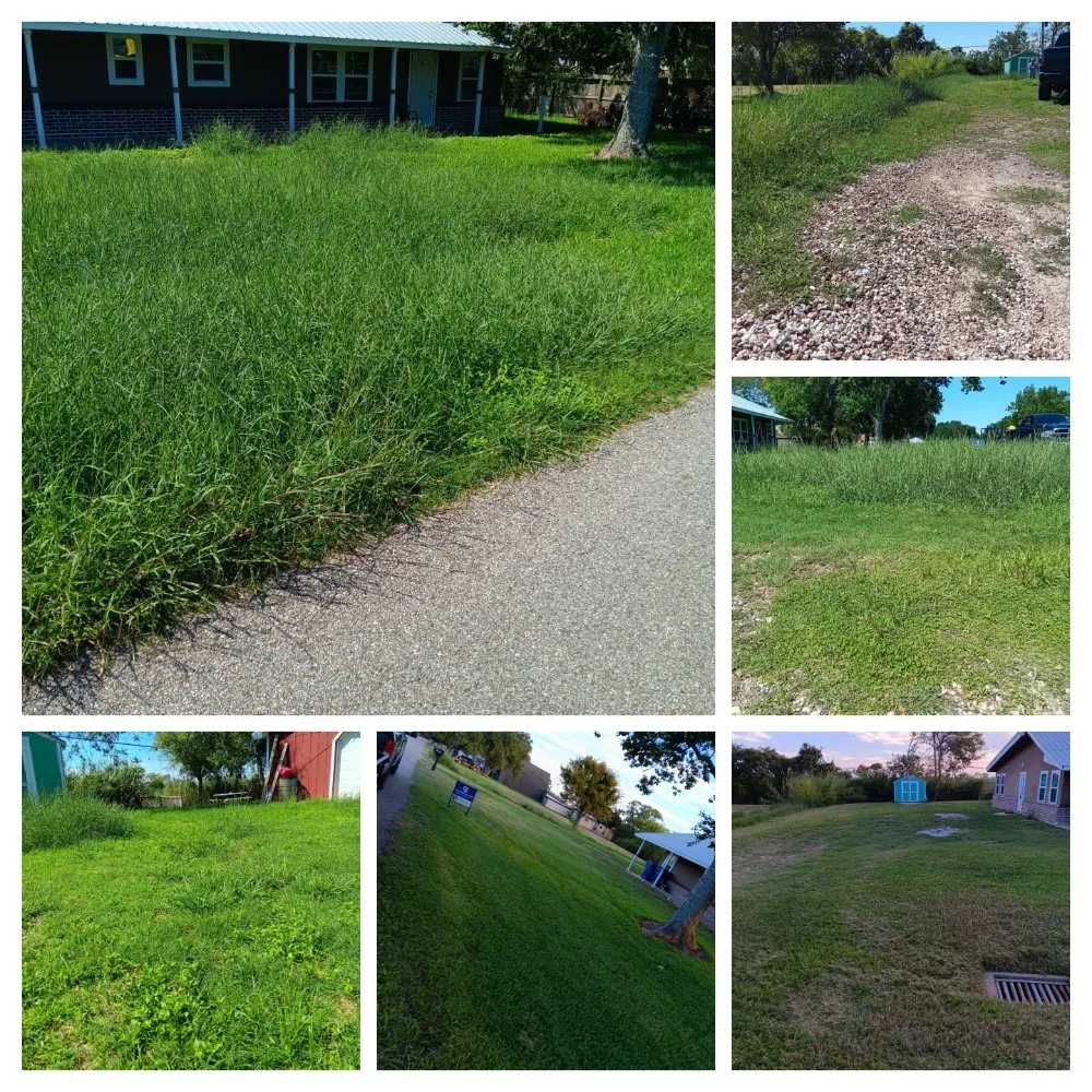 Trusted yard maintenance in Freeport, TX - We Are Pooh