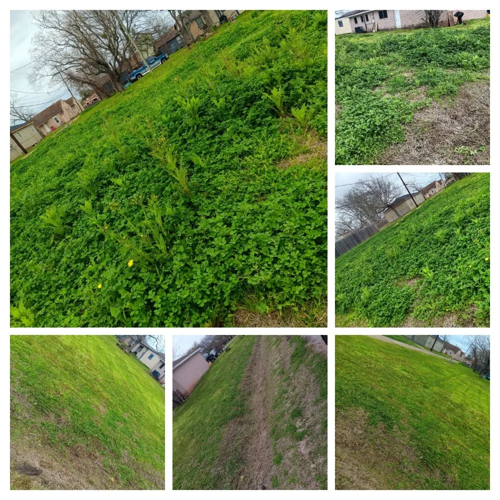 Top-rated garden landscaping in Freeport, TX by We Are Pooh