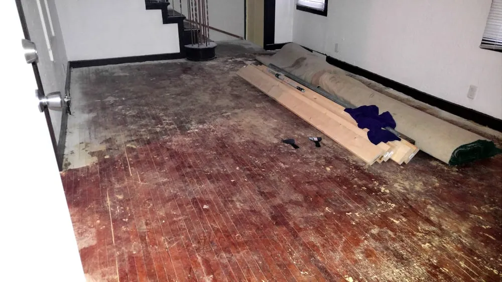 Local yard maintenance for beautiful yards in Toledo, OH by We Can Do It Removal and Cleaning Service