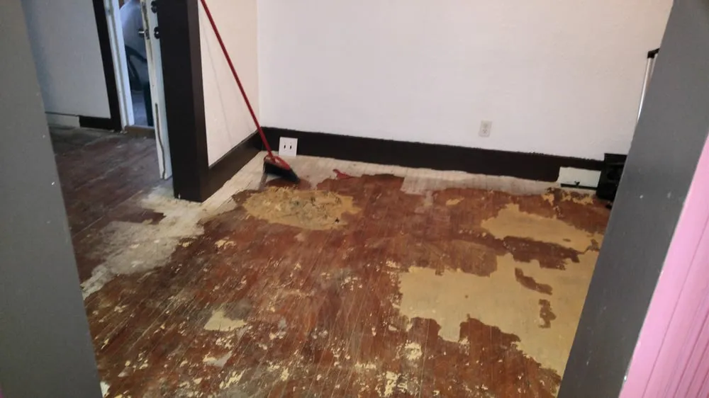 Top-rated garden landscaping in Toledo, OH - We Can Do It Removal and Cleaning Service