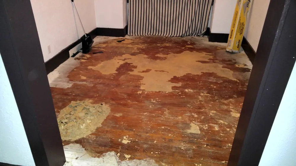 Top-rated lawn care service in Toledo, OH - We Can Do It Removal and Cleaning Service