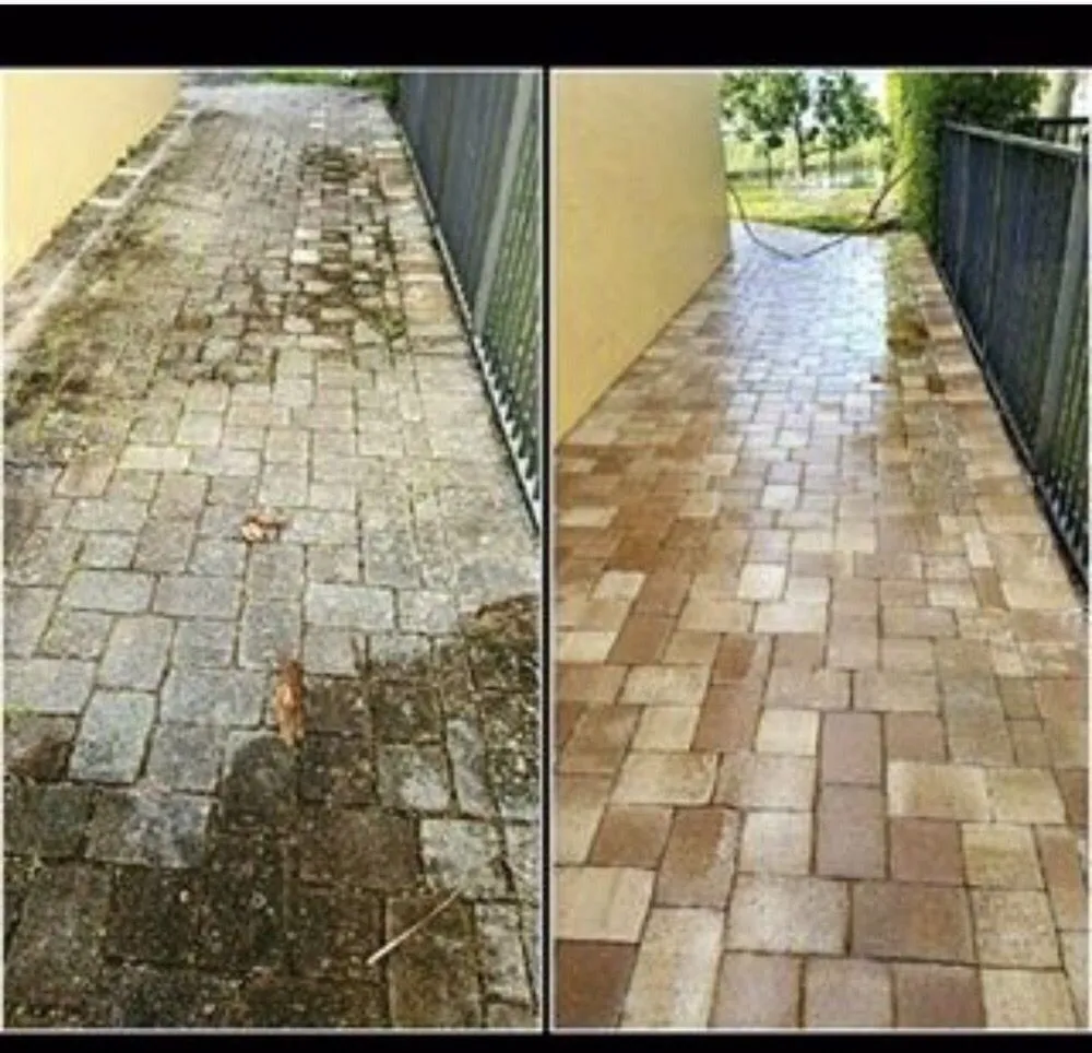 Local residential landscaping in Miami, FL by We Can Do It Right