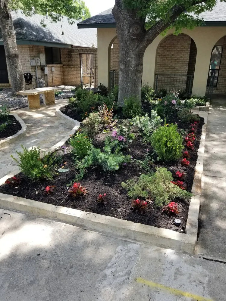 Trusted yard cleanup service in San Antonio, TX - We Can Rock It