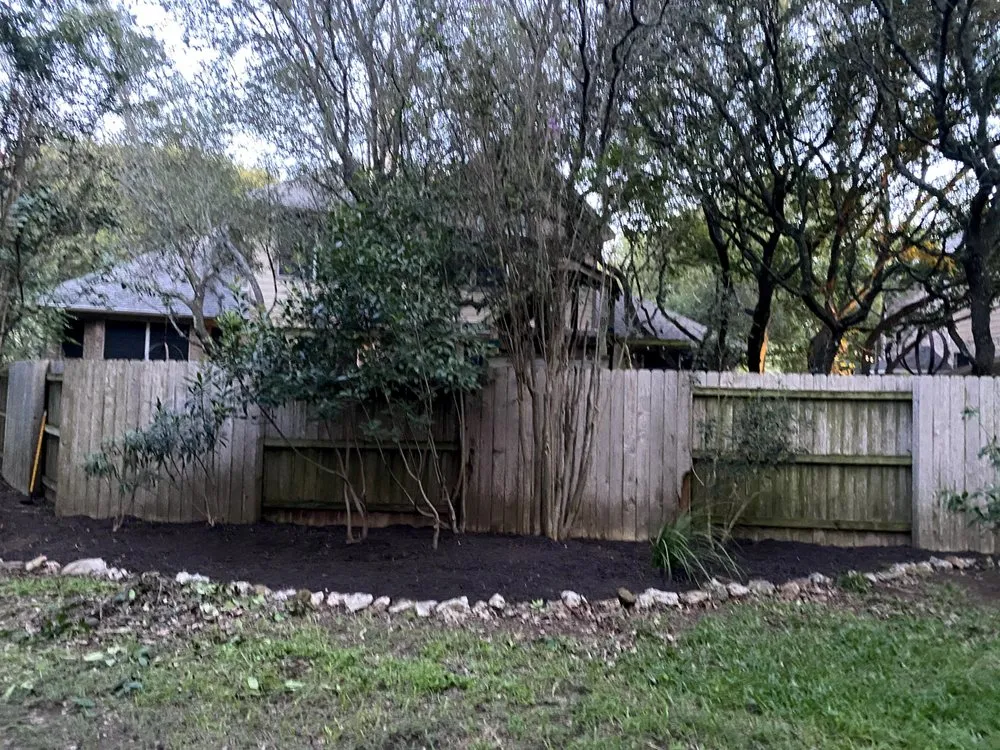 Top-rated yard maintenance in Austin, TX - We Care Landscaping