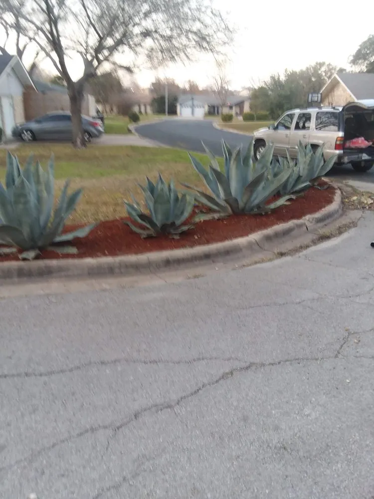 Custom landscaping services in Austin, TX - We Care Landscaping