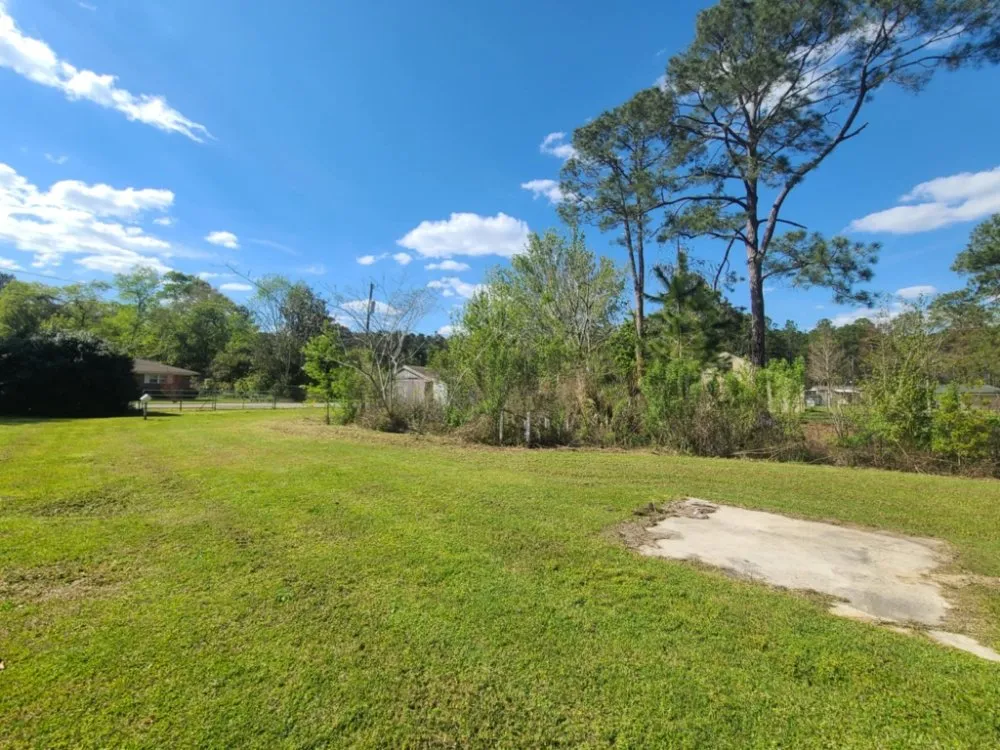 Top-rated yard cleanup service in Adel, GA - We Care Lawn Care