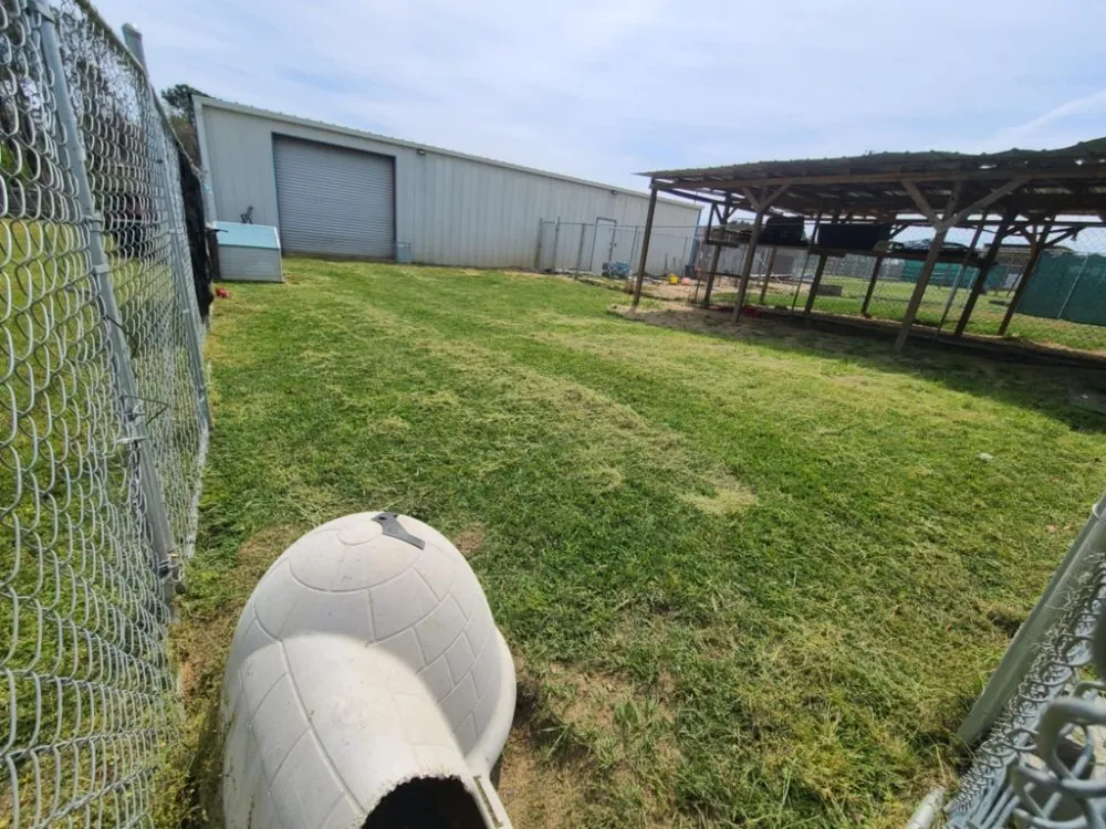 Custom garden landscaping for residential properties in Adel, GA by We Care Lawn Care