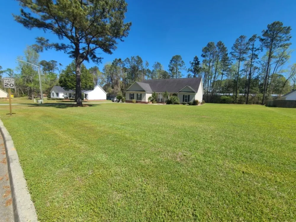 Trusted residential landscaping experts serving Adel, GA - We Care Lawn Care