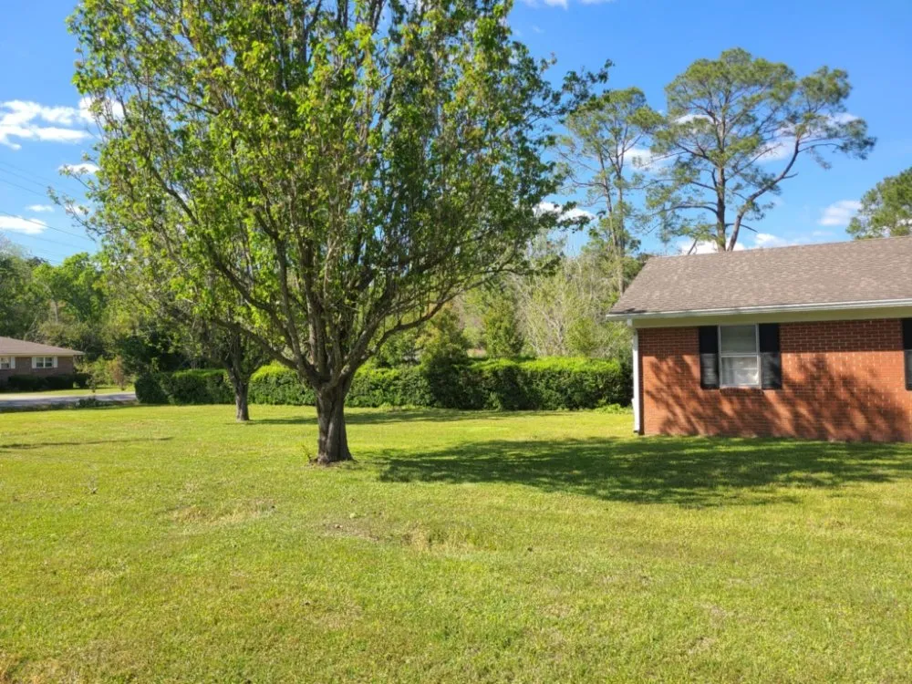 Top-rated yard cleanup service experts serving Adel, GA - We Care Lawn Care