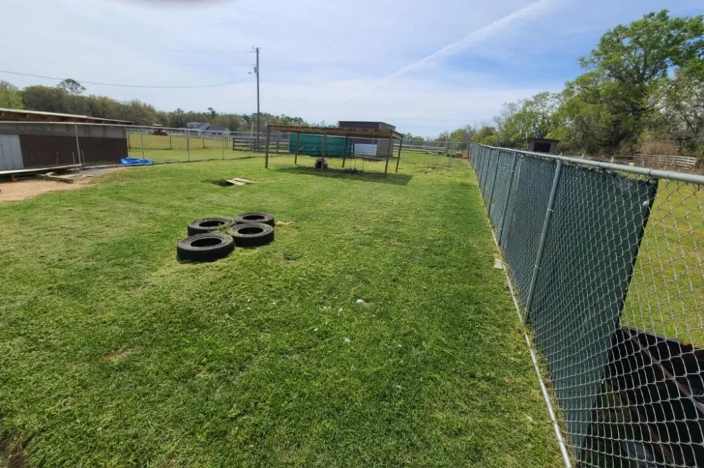 Custom yard cleanup service for outdoor upgrades in Adel, GA by We Care Lawn Care