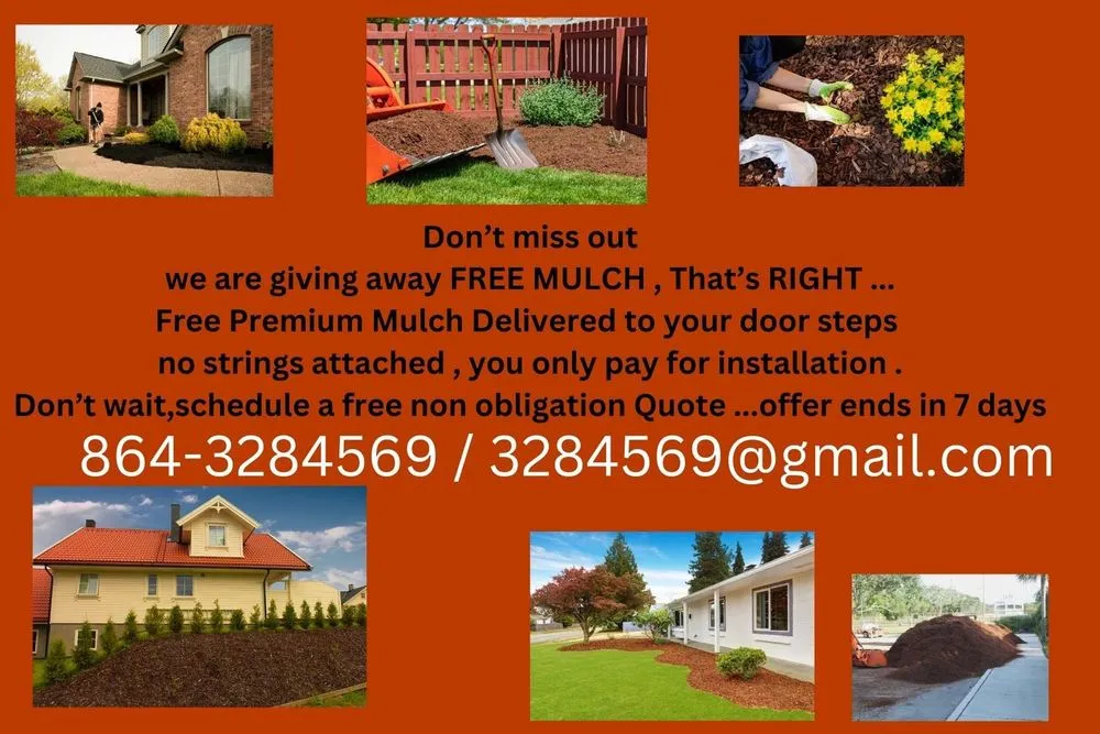 Top-rated yard maintenance for outdoor upgrades in Anderson, SC by We Care Lawn Care