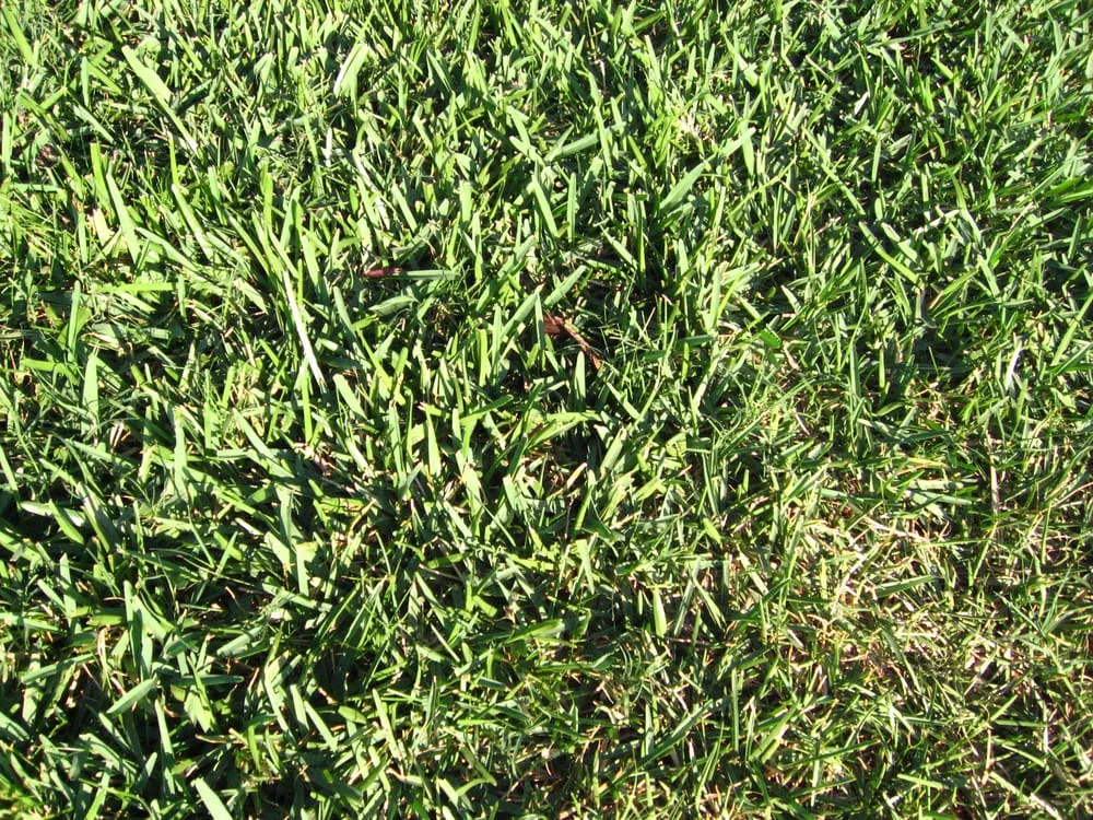 Reliable landscape design in Franklin, WI - We Care Lawn Care