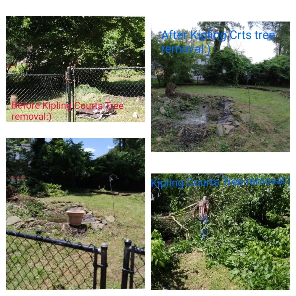 Custom outdoor landscaping experts serving Grovetown, GA - We Care Lawn Care