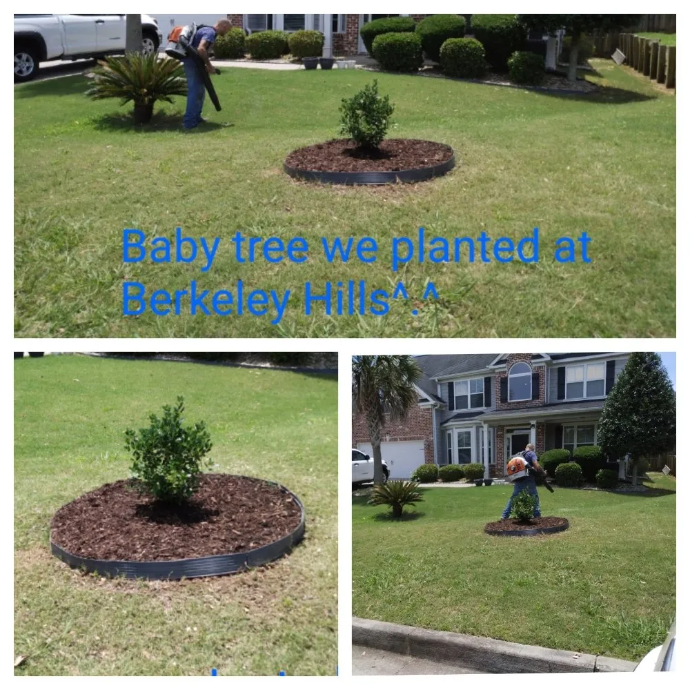 Custom lawn care service in Grovetown, GA - We Care Lawn Care