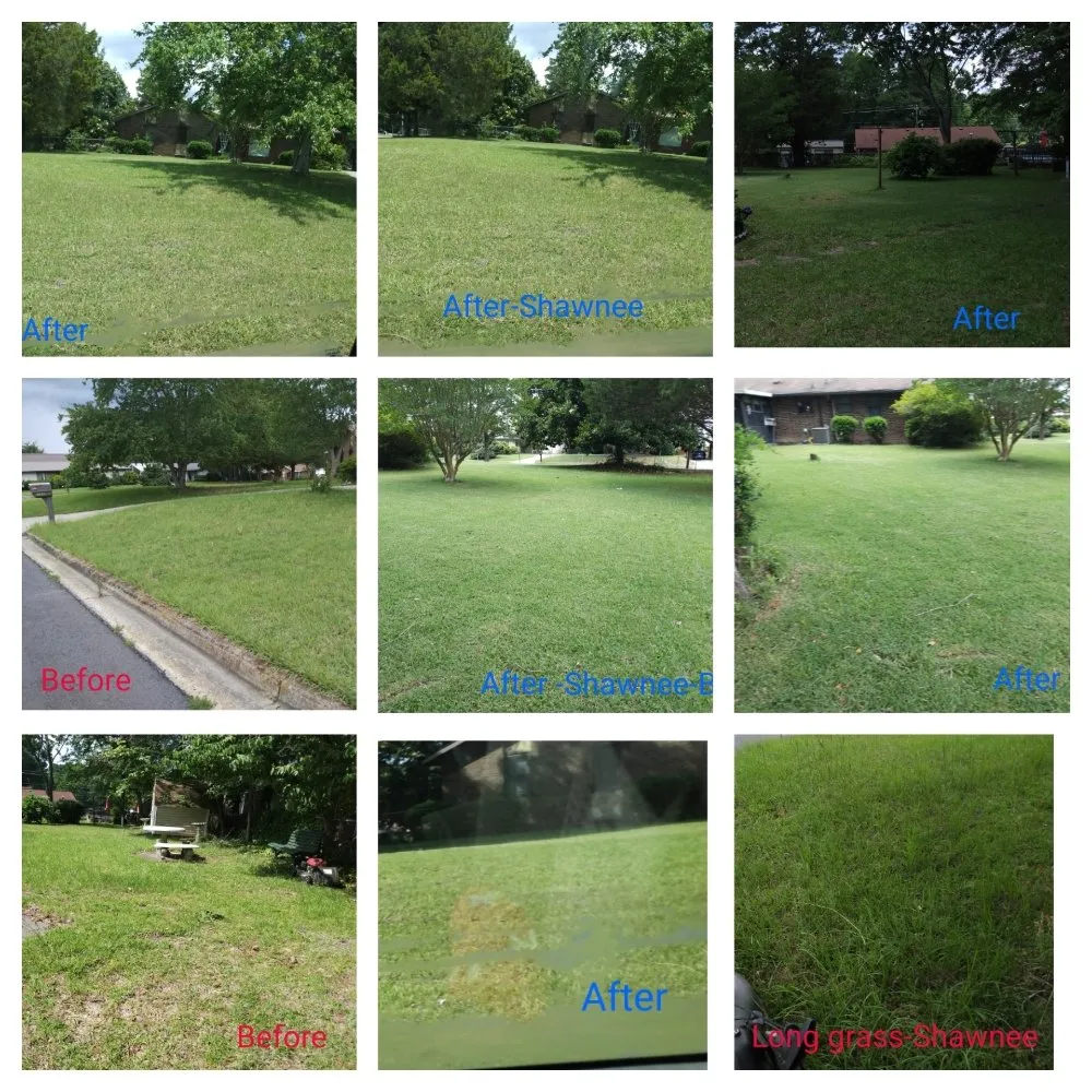 Top-rated yard cleanup service in Grovetown, GA by We Care Lawn Care