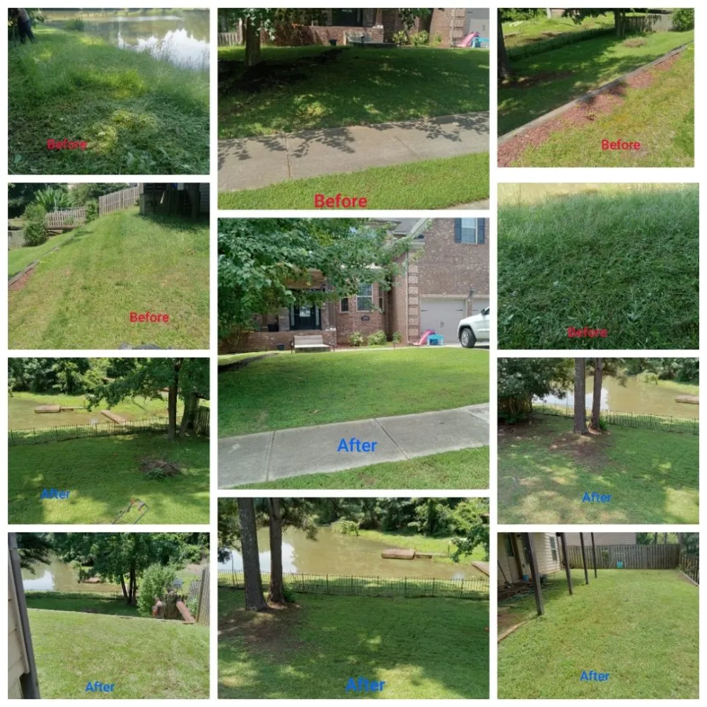 Local lawn mowing service in Grovetown, GA - We Care Lawn Care