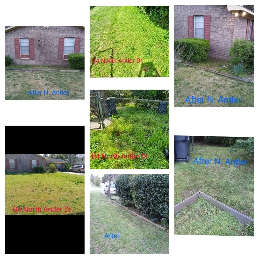 Expert lawn care service in Grovetown, GA by We Care Lawn Care